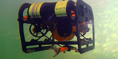 ROV case study.jpg